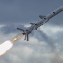 Россияне еще месяц назад знали про успешные испытания крылатой ракеты, именно поэтому затянули в Крым установку С-400, – блогер