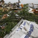 Трагедия рейса МН17: обнародованы новые резонансные подробности катастрофы