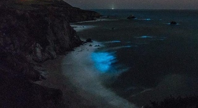 Океан у побережья Калифорнии засветился в ночное время