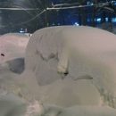 Синоптик: «Прогнозируются гигантские метры снега»