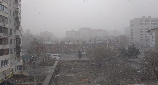 Майский снег в России: в сети опубликованы фото природной аномалии