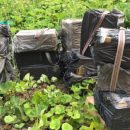 Стрельба на границе в Черновицкой области: ГПСУ разоблачила крупную партию контрабандных сигарет