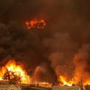 Пожары в Калифорнии стали самыми масштабными за всю историю штата