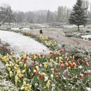 «Мокрий сніг та зниження температури!» Став відомий прогноз погоди на 16 квітня