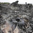 «Резкий поворот»: в Малайзии призвали не спешить обвинять РФ в трагедии МН17