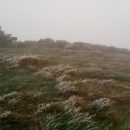 Начались заморозки и пошел снег: В Карпатах резко ухудшилась погода