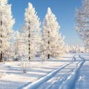 Снег будет не скоро: синоптики дали прогноз на январь