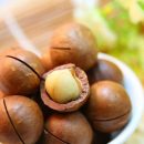 «Он похож на шар и обладает мощным антиоксидантом»: Макадамия - самый дорогой и полезный орех в мире