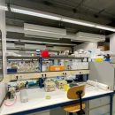 Ученые из Нидерландов открыли антитела к коронавирусу: началась подготовка к разработке лекарств