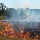 «Сжигала сухую траву, но сожгла себя»: В Житомирской области от ожогов погибла женщина