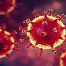 Эксперты: в Украине снизилось количество больных коронавирусом, нуждающихся в госпитализации
