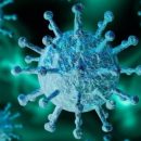 «Или продолжение, или ошибка»: доктор развенчал миф о повторном заражении коронавирусом