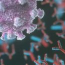 Почти половина украинцем могут иметь антитела к коронавирусу - заведующая кафедрой эпидемиологии