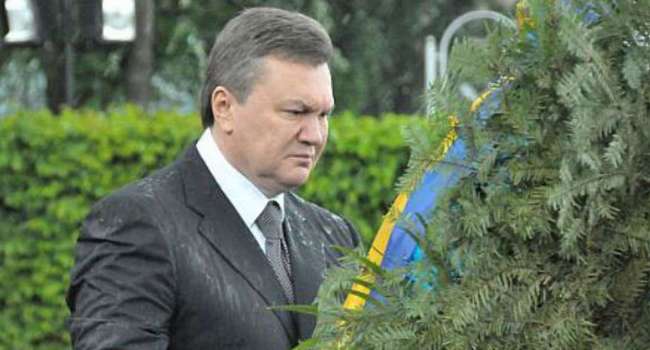 Журналист: ровно 11 лет назад Янукович был вероломно атакован елочным венком