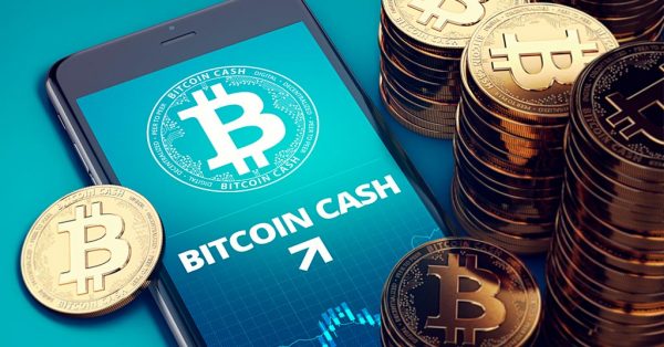 Актуальная цена Bitcoin Cash