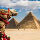 Путешествие в Мир Древних Чудес с ХОТ ТУР: Горящие Туры в Египет